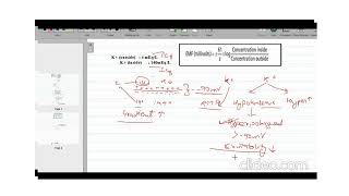 Hyperkalemia vs Hypokalemia I Easy explanation [upl. by Anelahs]