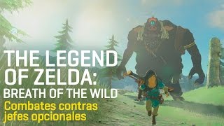 The Legend of Zelda Breath of the Wild  Gameplay con los jefes opcionales [upl. by Onifled]