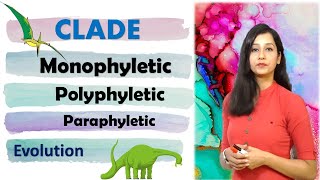 Phylogenetic tree I Clade I Monophyletic I Paraphyletic I Polyphyletic II Evolution [upl. by Genni]