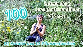 100 heimische amp insektenfreundliche Pflanzen 24 Pflanzen und Standortkunde  BestäuberWissen [upl. by Akyssej]