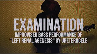 Ureterocele  Improvised Bass Performance of quotLeft Renal Agenesisquot  Examination [upl. by Yelsgnik]