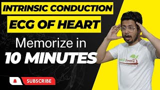 Intrinsic conduction system of heart  easy tricks to remember  Heart anatomy and physiology [upl. by Hollie621]