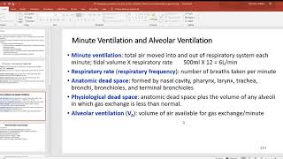 48 Compliance pulmonary volumes alveolar ventilation Dalton’s law and principles of gas exchange [upl. by Nnylram]