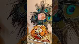 putrada ekadashi pe thakur ji ka darshan [upl. by Costello]