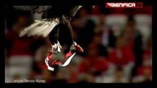 Clip Aguia Benfica  BENFICA TV [upl. by Ilyah]