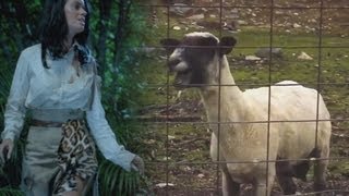 Katy Perry  Roar Goat Remix [upl. by Backer]