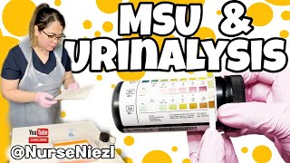 MSU amp URINALYSIS  NMC OSCE 🇬🇧 nurseniezl niezl2023 [upl. by Neik]