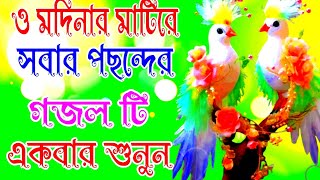 ও মদিনার মাটিরে নতুন গজল o modinar Mati re Shera gojol [upl. by Kiri]