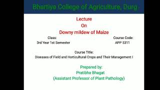 Downy mildew of Maize Part 1by Pratibha Bhagat [upl. by Anawyt]