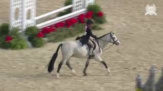 Reidell Day Dream  2021 Pony Finals 3rd Overall Small Pony Hunters [upl. by Francyne956]