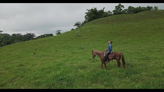 Reyli Barba  Sálvate Sálvame [upl. by Sheeran]