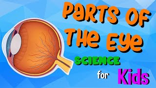 Parts of the Eye  Science for Kids [upl. by Hollander]