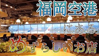 【福岡空港にあるめずらしいお店】福岡空港 福岡観光 Shops at Fukuoka Airport Japan 후쿠오카 공항의 가게 일본 福冈机场的商店 日本 [upl. by Sigler732]