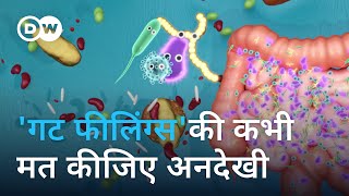 पाचन तंत्र को क्यों कहते हैं दूसरा मस्तिष्क Is the gut our second brain [upl. by Cecil421]