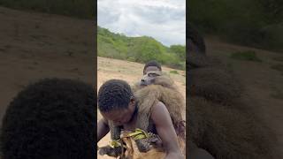 Hunting and Cooking Huge Baboon with Hadzabe tribe hadzabetribe africantribe [upl. by Devol]