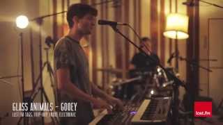 Glass Animals  Gooey Lastfm Lightship95 Series [upl. by Aneeles]