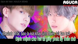 Karaoke Việt  Inst DNA  BTS [upl. by Nhabois]