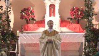 Fr Jims Homily of Epiphany 2010 [upl. by Haleak887]