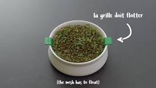 Tuto Coupelle de germination  Germline [upl. by Tennos638]