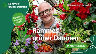 Kanaltrailer Rammes grüner Daumen Youtube [upl. by Ayhay379]