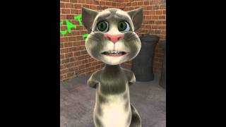 Talking Tom nokat marrakchia 1 نكت مراكشية [upl. by Donahue]