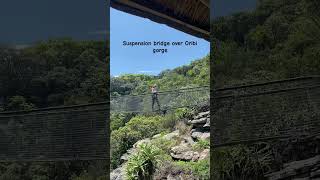 Oribi gorge suspension bridge southafrica [upl. by Atsyrhc]