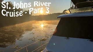 Alligators Manatees amp Nature  St Johns River Cruise Part 3  Cruising mv YNot [upl. by Jaddo863]