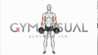 Dumbbell Cross Body Hammer Curl [upl. by Lesh245]