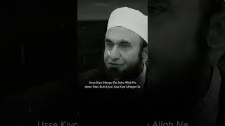 tariq jamil said islamicstatus viralshorts trendingshorts explorepage [upl. by Edrei]