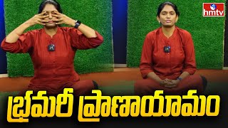 Bhramari Pranayamaa Bee Breath Benefits  భ్రమరీ ప్రాణాయామం  HARIKA Yogasana  hmtv [upl. by Press561]