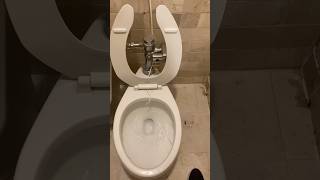 Vitromex Apolo toilet at Holiday Inn [upl. by Nohsar]