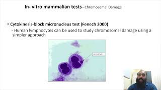 Genotoxicity and mutagenicity testing III Part 8 [upl. by Derril]