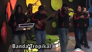 BANDA TROPIKAL  la yuca  pobre graciliano [upl. by Tfat]