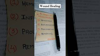 Stages Of Wound Healing [upl. by Vinni494]