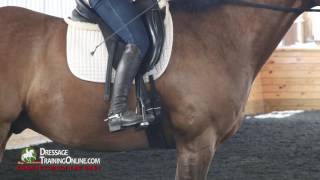 Dressage training on the importance of first whispering before you shout with Olympian Courtney Dye [upl. by Wester]