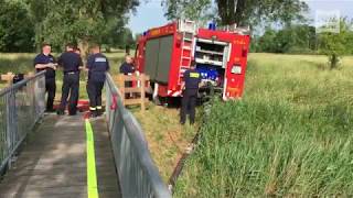 Feuerwehr Nordenham Ungewöhnlicher Einsatz zum Tierschutz [upl. by Persons]