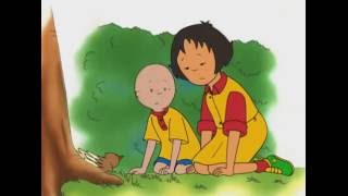 Caillou FRANÇAIS  3 ÉPISODES TRÈS SPÉCIAUX  conte pour enfant  Caillou en Français [upl. by Friedland]