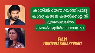 Kaathil Then Mazhayayi Malayalam Song Karaoke With Lyrics  Thumboli Kadappuram [upl. by Apostles]