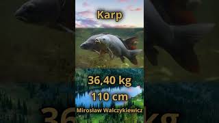 Rekordy ryb Polski 🐟🐠🐟 karp carpfish fishing ryby lake [upl. by Ettennan178]