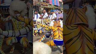 Pili trending pilivesha tigerdance shorts short youtubeshorts yt youtube ytshorts tulunadu [upl. by Freida]