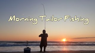 DAY 2 FRASER ISLAND CAMPING AND FISHING  MORNING TAILOR FISHING [upl. by Georgine]