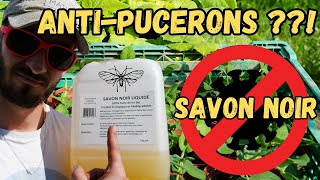 TRAITEMENT BIO CONTRE les PUCERONS SAVON NOIR [upl. by Prudie]