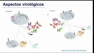 Norovirus  posgrado Infectología UNAL [upl. by Esorrebma609]