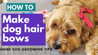 How To Make Dog Grooming Bows [upl. by Korwin]