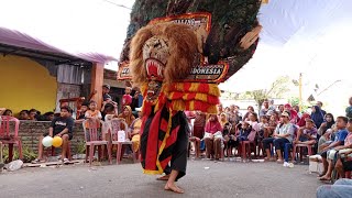 KEMAREMAN SOLAH DADAK MERAK DJOKO BEREK quotREYOG SINGO TARUNOquot LIVE KEDUNGDOWO NGANJUK [upl. by Takeshi]