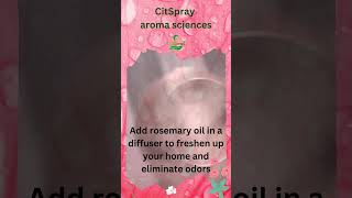 quotBreath in The Freshener of Rosemary Oilquot quotRosemary Oilquot [upl. by Kemeny]