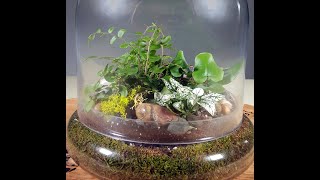 Create a Terrarium with Ah Sam Floral AhSamcom [upl. by Anoet]