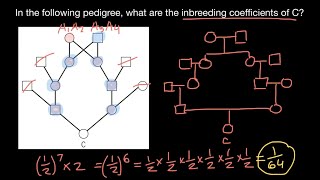 How to calculate Coefficient of Inbreeding 3 [upl. by Flannery]