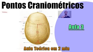 Pontos Craniométricos  Parte 3  Teórica  Anatomia Humana [upl. by Enak]