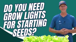 Do You Need Grow Lights for Starting Seeds [upl. by Wiencke]